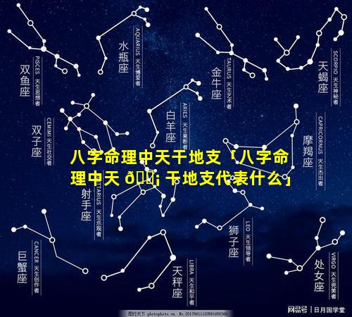 八字命理中天干地支「八字命理中天 🐡 干地支代表什么」